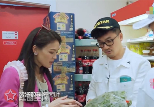 九层塔是什么菜 苏有朋认错九层塔遭嘲笑图片