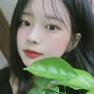 女生遮脸头像唯美图片图片