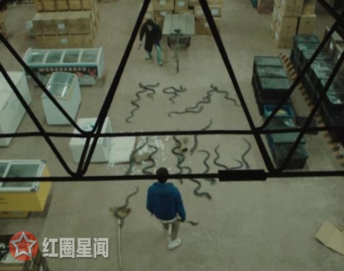 沙海黑毛蛇是什么有原型吗 黑毛蛇和鸡冠蛇什么关系图片