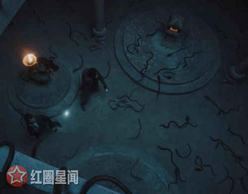 沙海黑毛蛇是什么有原型吗 黑毛蛇和鸡冠蛇什么关系图片