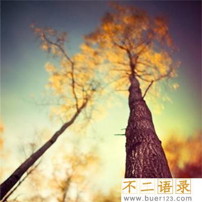明明很想念却又怕打扰 想联系又怕打扰的句子 图片
