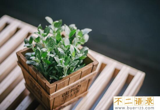 失败的人生感悟说说