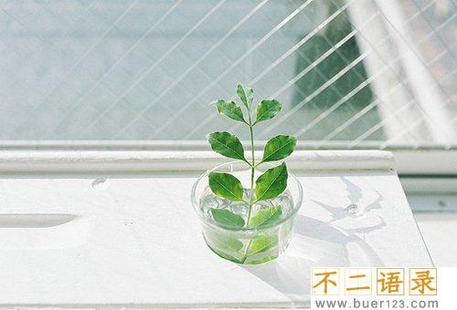 温馨祝福语简短一句话