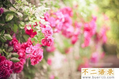金钱见证了人心的句子 金钱社会太现实的句子