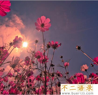 朋友圈晒娃经典语句
