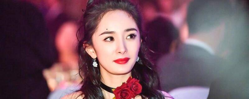 杨幂旗下艺人有哪些