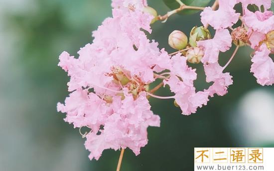 最新的普京名言大全