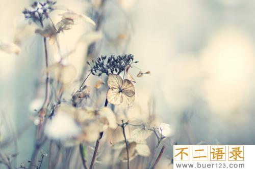 经典个人独白 内心独白经典句子 图片