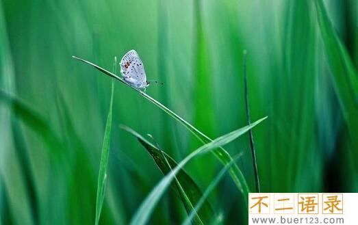 午后阳光唯美短句 午后的阳光心情语句 图片