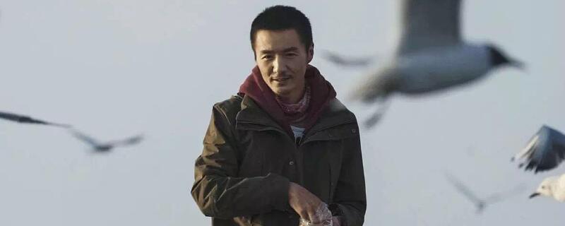 朴树怎么读图片