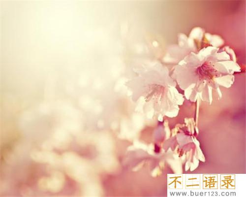 青春拼搏的简短句子 青春拼搏的霸气语录