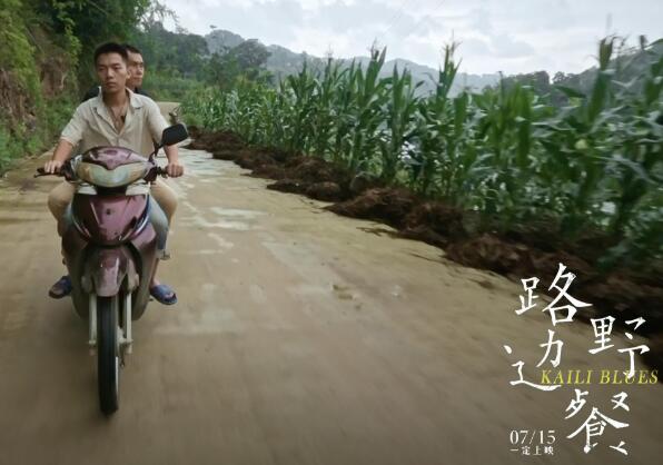 路边野餐到底在讲什么图片