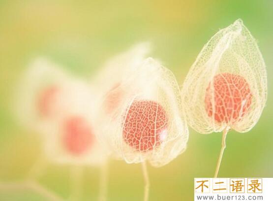 失眠怎么晒朋友圈