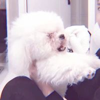 好看的两张一男一女情侣唯美好看头像