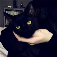 可爱萌萌哒猫咪图片唯美好看头像，你是否爱喜欢这些小猫呢