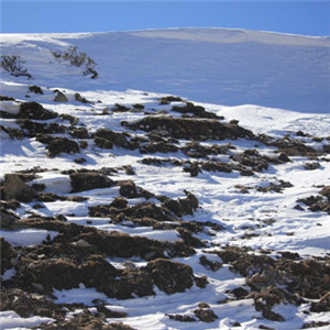 好看头像是雪山，连绵的雪山风景图片图片