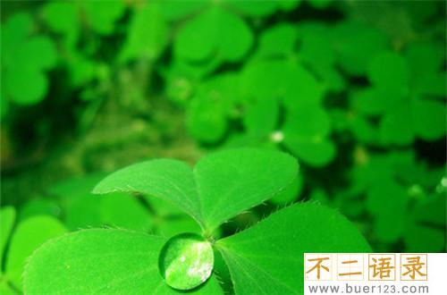 工会对职工的生日祝福语 给员工生日祝福语 简短独特（62句）