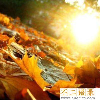 精选的校庆口号大全