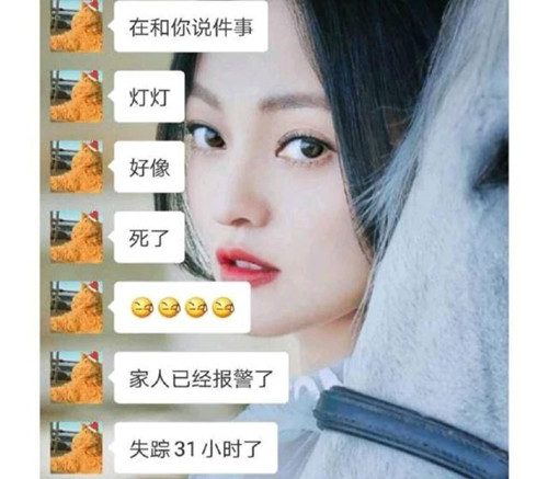 灯灯hoho是谁 灯灯hoho去哪了真的失踪了吗图片