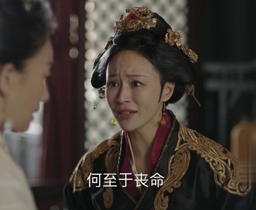 知否荣妃为什么造反 荣妃竟和兖王合谋篡位图片