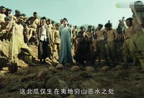 鬼吹灯里北瓜是什么 陈玉楼科普北瓜令人毛骨悚然图片