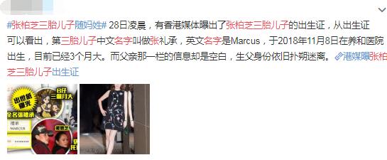  张柏芝三胎儿子名字是什么 孩子生父身份成迷大家很好奇