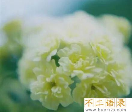 最新的古诗文名言名句大全 图片