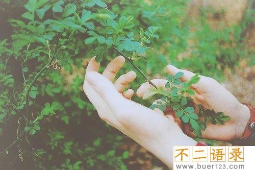 生日感谢妈妈的话简短 图片