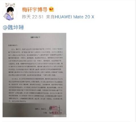 梅轩宇最强大脑在那场 梅轩宇微博承认捏造道歉魏坤琳图片
