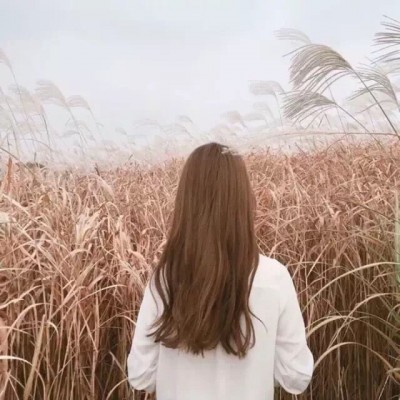 微信头像女生卡通可爱图片