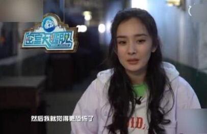 杨幂恐高怎么回事 节目中因为无法克服心里障碍自责大哭图片