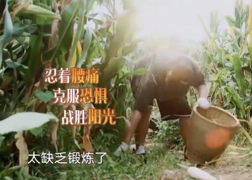向往的生活陈赫点的什么菜 十全大补汤是什么鬼图片