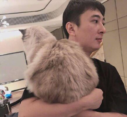 王思聪养的鸭子什么品种图片