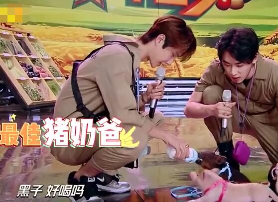 王一博白菜什么节目哪一期 合作王以纶化身屯里人卖菜图片