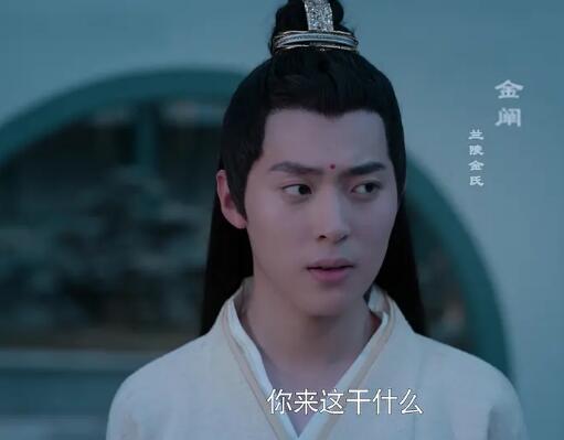 刘胤君陈情令里扮演者图片