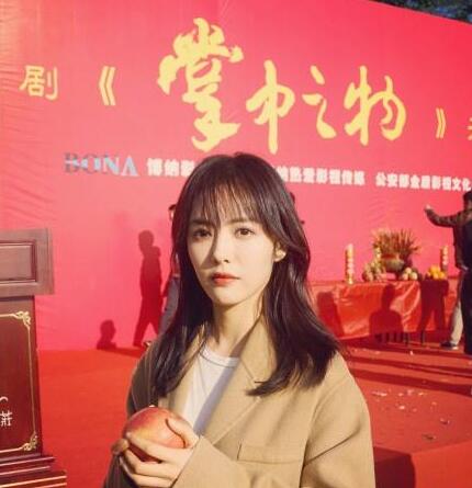 掌中之物讲的是什么 蔡文静彭冠英开启斗智斗勇的生活图片
