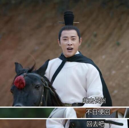 鹤唳华亭结局谁当王了图片