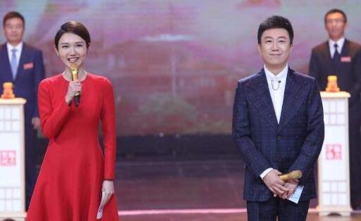 龙洋老公是谁啥背景 央视龙洋个人资料介绍图片