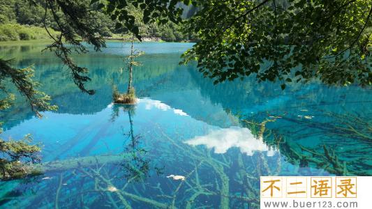 讽刺说谎的人的句子 写给撒谎人的句子 图片