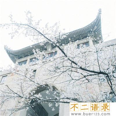 怀古伤今的优美古诗词（精选156句）图片