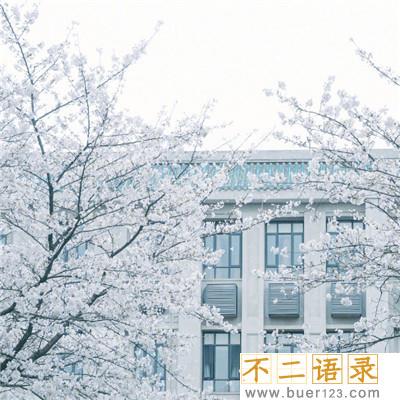 怀古伤今的优美古诗词（精选156句）图片