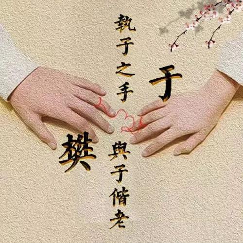 文字情侣唯美好看头像图片，执子之手与子偕老图片