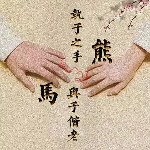 文字情侣唯美好看头像图片，执子之手与子偕老图片