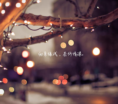 心灵鸡汤晚安心语