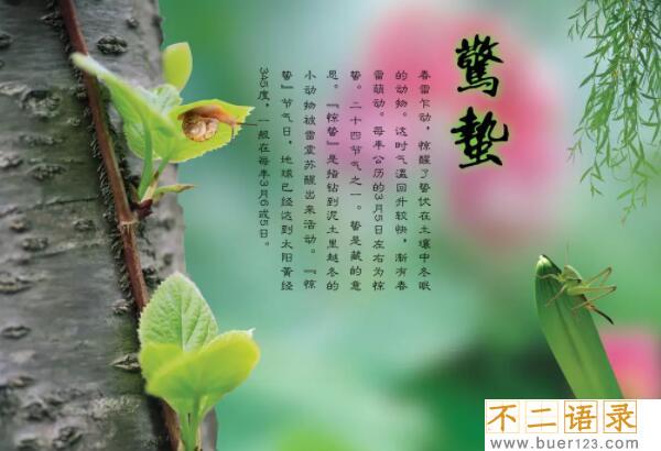 惊蛰节气的含义是什么，仲春时节的开始（每年的3月5号或6号）图片