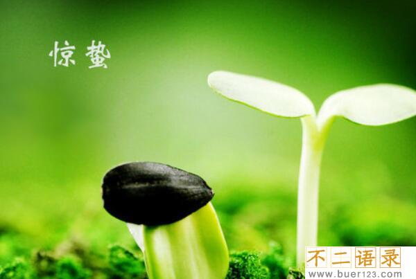 惊蛰节气的含义是什么，仲春时节的开始（每年的3月5号或6号）图片