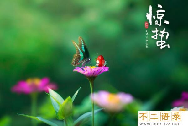 惊蛰节气的含义是什么，仲春时节的开始（每年的3月5号或6号）图片