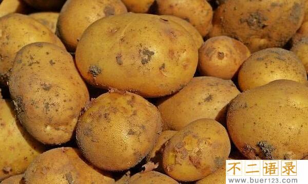 土豆表皮有点白毛能吃么，不能吃（含有毒的生物碱）图片