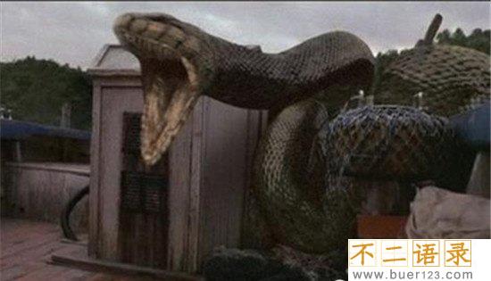 蟒蛇电影好看的有哪几部图片