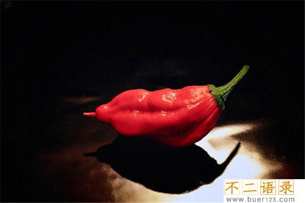 世界上最辣的十大辣椒 哈瓦那辣椒上榜红巨椒很是毒辣图片